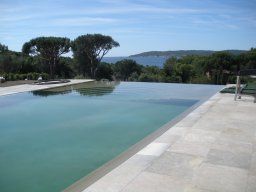 Cognac Classic Antique Paving and Pool Coping